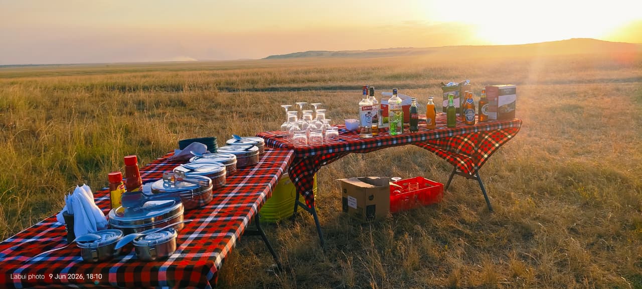 Incredible wildlife moment on Maasai Mara safari